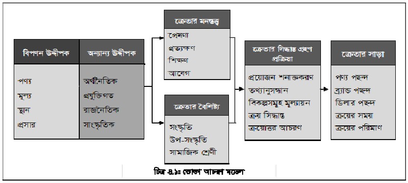 ভোক্তা আচরণ