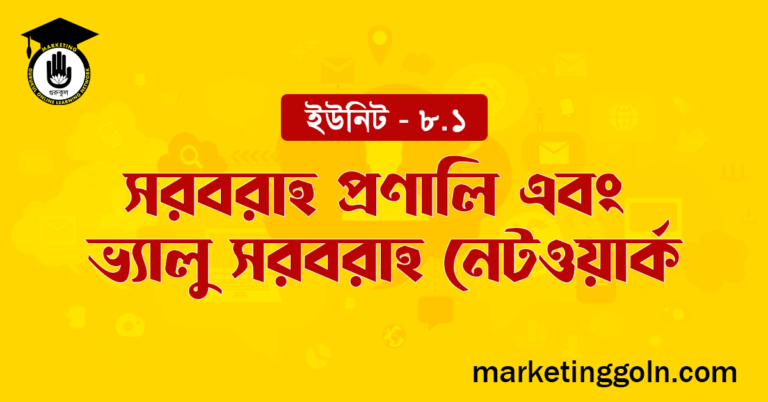 সরবরাহ প্রণালি এবং ভ্যালু সরবরাহ নেটওয়ার্ক